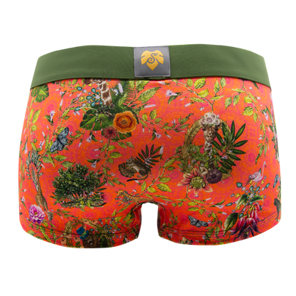 Panty African Spirit orange von hinten – Tiere und Pflanzen auf Orange, grüner Bund