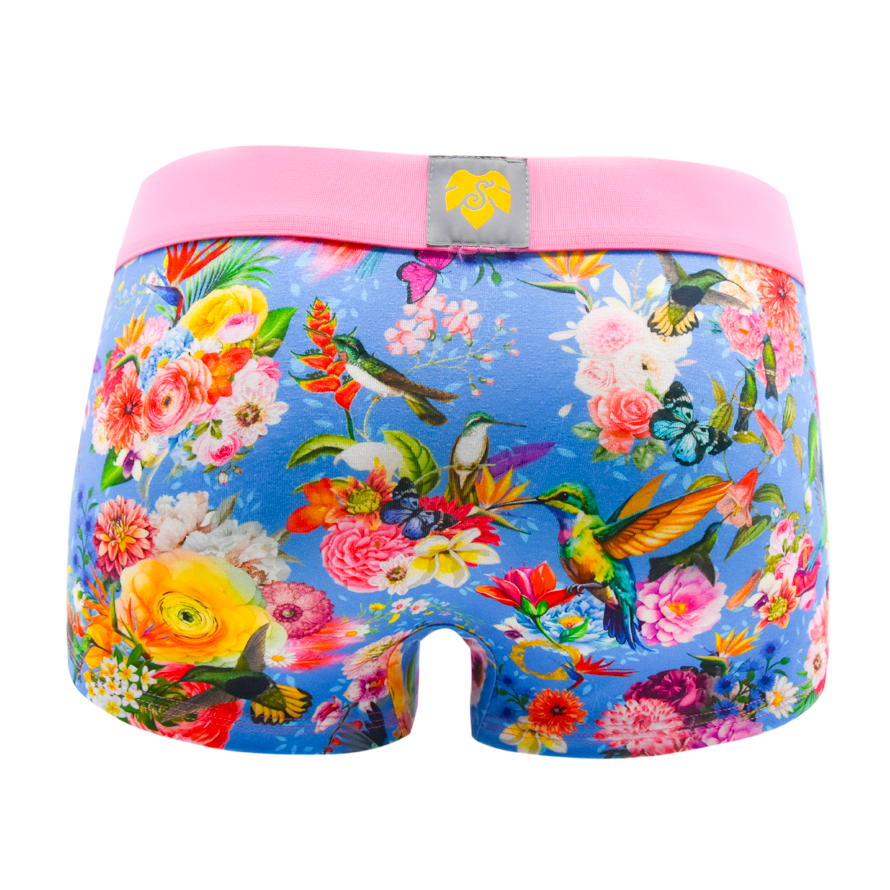 Schockhöschen Panty Blumen Poesie Blau Rückansicht — botanischer Print mit Kolibris auf himmelblauen Grund, rosa Bund, goldenes Logo