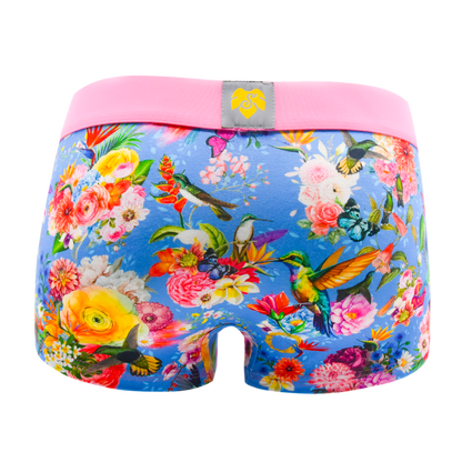 Schockhöschen Panty Blumen Poesie Blau Rückansicht — botanischer Print mit Kolibris auf himmelblauen Grund, rosa Bund, goldenes Logo