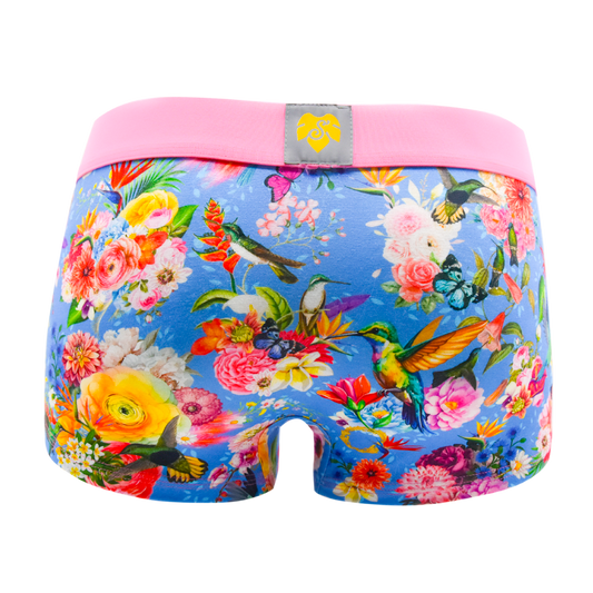 Schockhöschen Panty Blumen Poesie Blau Rückansicht — botanischer Print mit Kolibris auf himmelblauen Grund, rosa Bund, goldenes Logo